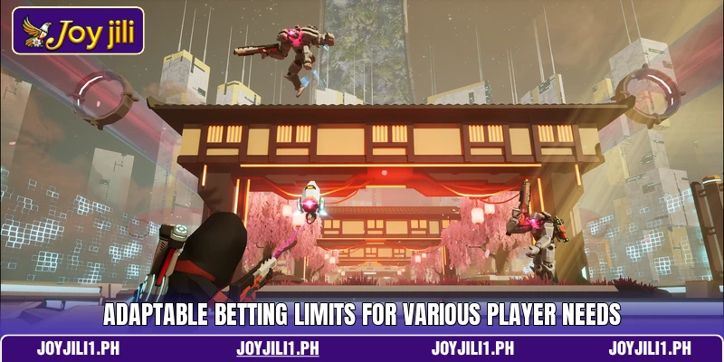 Adaptable betting limits for various player needs Adaptable betting limits for various player needs