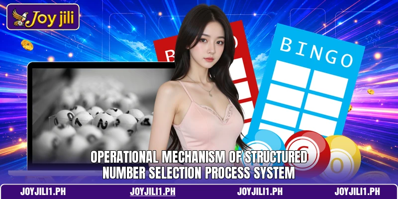Operational mechanism of structured number selection process system Operational mechanism of structured number selection process system